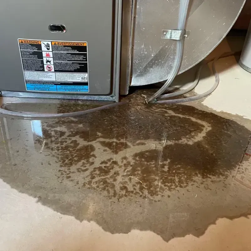 Appliance Leak Cleanup in Sleepy Eye, MN